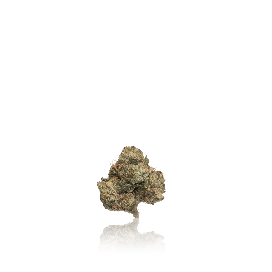 Premium Indoor Flower